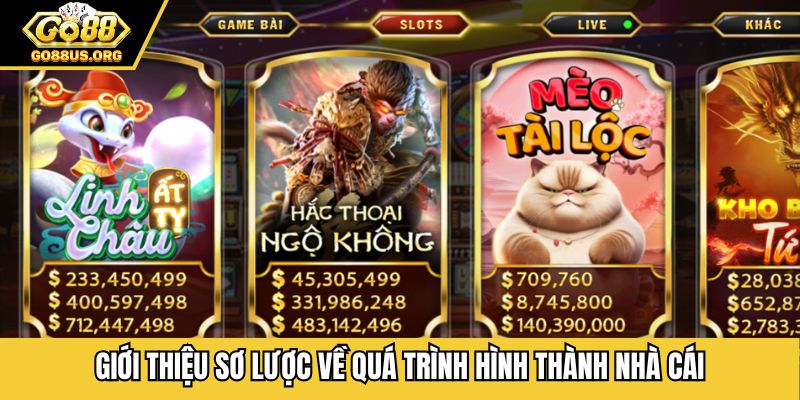 Giới thiệu sơ lược về quá trình hình thành nhà cái