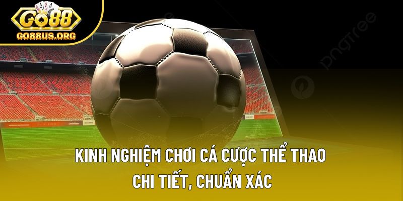Kinh Nghiệm Chơi Cá Cược Thể Thao Chi Tiết, Chuẩn Xác