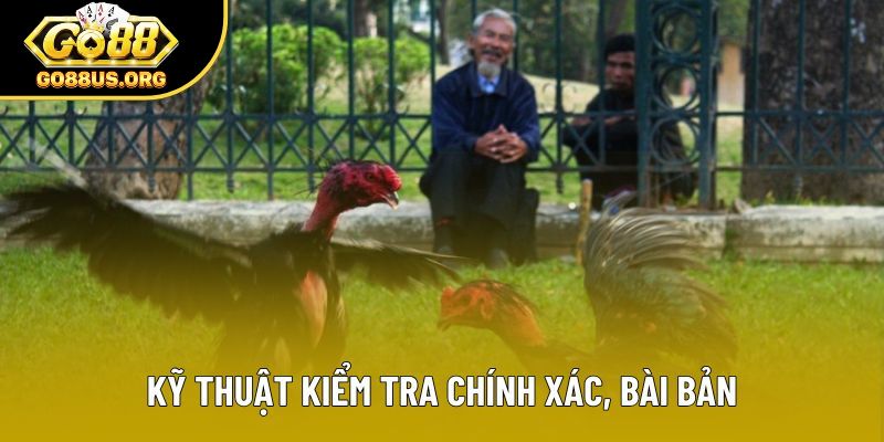 Kỹ thuật kiểm tra chính xác, bài bản