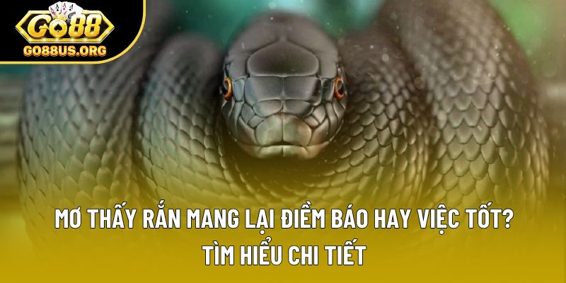 Mơ Thấy Rắn Là Điềm Báo Hay Việc Tốt? Tìm Hiểu Chi Tiết