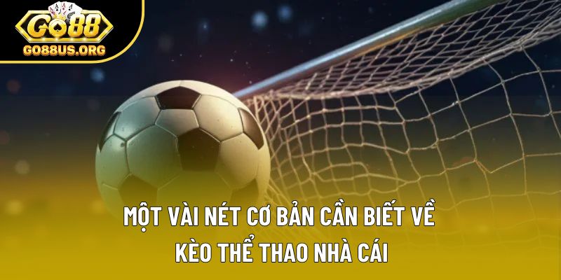 Một vài nét cơ bản cần biết về kèo thể thao nhà cái