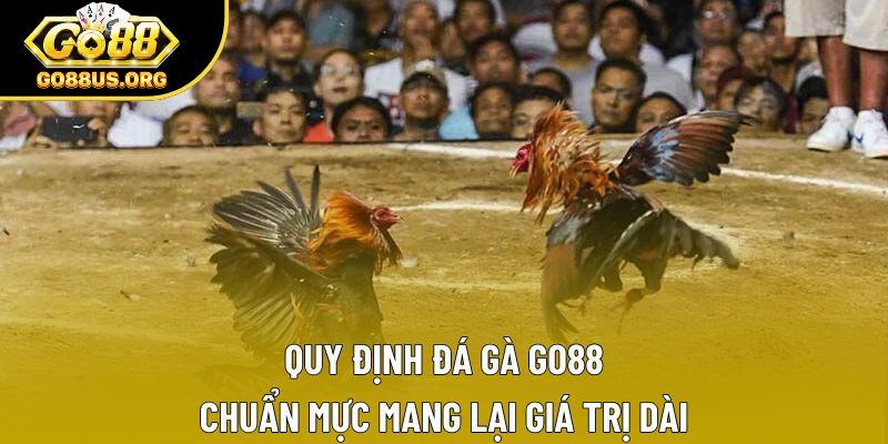 Quy Định Đá Gà GO88 - Chuẩn Mực Mang Lại Giá Trị Dài