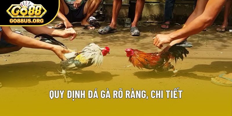 Quy định đá gà rõ ràng, chi tiết