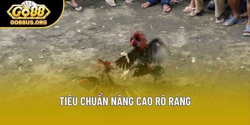 Tiêu chuẩn nâng cao rõ ràng