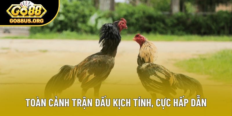 Toàn cảnh trận đấu kịch tính, cực hấp dẫn